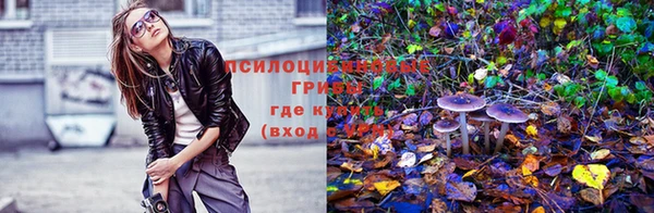 mdpv Арсеньев