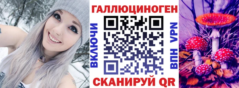 где купить   Аша  Галлюциногенные грибы Psilocybe 